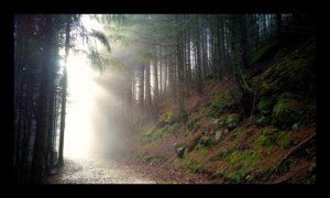 Sur le GR53 avant le col de la Côte de l'Engin Sur le GR53 avant le col de la Côte de l'Engin