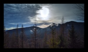 Donon et Kohlberg Donon et Kohlberg