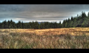 Prairie du Sac de Pierre Prairie du Sac de Pierre