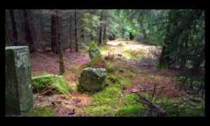 Sentier descendant au col de la Croix Simon Sentier descendant au col de la Croix Simon