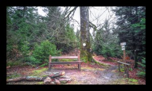 La Borne Brignon La Borne Brignon