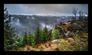 Depuis le sommet du Grand Rougimont Depuis le sommet du Grand Rougimont