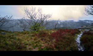 Depuis le sommet du Grand Rougimont Depuis le sommet du Grand Rougimont