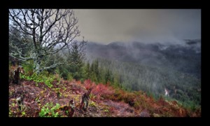 Depuis le sommet du Grand Rougimont Depuis le sommet du Grand Rougimont