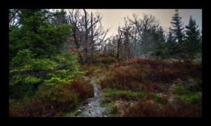 Sommet du Grand Rougimont Sommet du Grand Rougimont