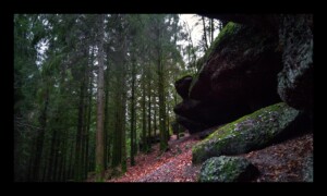 Au pied du Grand Rougimont Au pied du Grand Rougimont