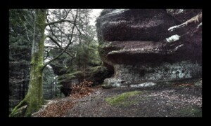 Au pied du Grand Rougimont Au pied du Grand Rougimont