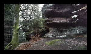 Au pied du Grand Rougimont Au pied du Grand Rougimont