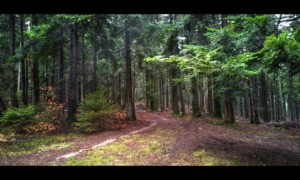 Sur le Grand Chemin d'Allemagne Sur le Grand Chemin d'Allemagne