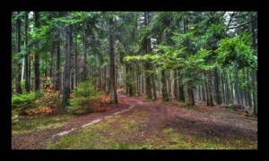 Sur le Grand Chemin d'Allemagne Sur le Grand Chemin d'Allemagne