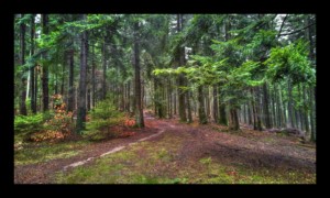 Sur le Grand Chemin d'Allemagne Sur le Grand Chemin d'Allemagne