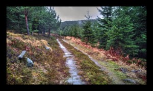 Sur le Grand Chemin d'Allemagne Sur le Grand Chemin d'Allemagne