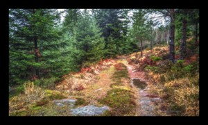 Sur le Grand Chemin d'Allemagne Sur le Grand Chemin d'Allemagne