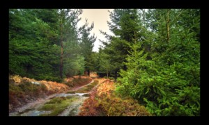 Sur le Grand Chemin d'Allemagne Sur le Grand Chemin d'Allemagne