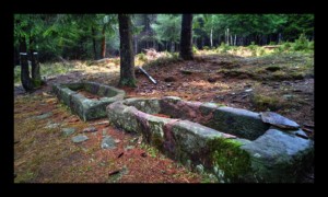 Les Auges de Martimont Les Auges de Martimont