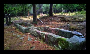 Les Auges de Martimont Les Auges de Martimont