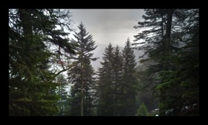 Le brouillard va descendre Le brouillard va descendre