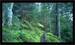 En longeant le Trou du Diable En longeant le Trou du Diable