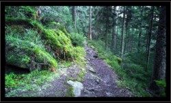 Sentier vers le Lac de la Maix Sentier vers le Lac de la Maix