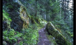 Sentier vers le Lac de la Maix Sentier vers le Lac de la Maix
