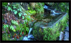 Fontaine autour du lac de la Maix Fontaine autour du lac de la Maix