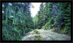 Vers la Fontaine Colas Lorrain Vers la Fontaine Colas Lorrain