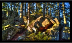 En allant vers les Roches à Cupules En allant vers les Roches à Cupules