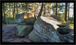 Roches à Cupules vers la Fontaine Colas Lorrain Roches à Cupules