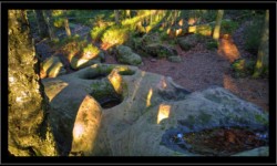 Roches à Cupules vers la Fontaine Colas Lorrain Roches à Cupules vers la Fontaine Colas Lorrain