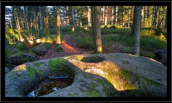 Roches à Cupules vers la Fontaine Colas Lorrain Roches à Cupules vers la Fontaine Colas Lorrain