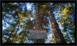 Roches à Cupules vers la Fontaine Colas Lorrain Roches à Cupules vers la Fontaine Colas Lorrain