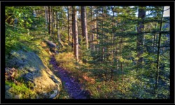 Descente vers Vexaincourt depuis la Fontaine Colas Lorrain Descente vers Vexaincourt
