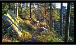 Descente vers Vexaincourt depuis la Fontaine Colas Lorrain Descente vers Vexaincourt