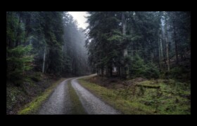 Montée vers le col du Hauenthal Montée vers le col du Hauenthal