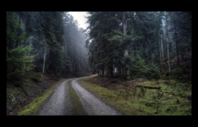 Montée vers le col du Hauenthal Montée vers le col du Hauenthal