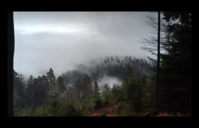 La forêt sort de la brume Walscheid-La forêt sort de la brume
