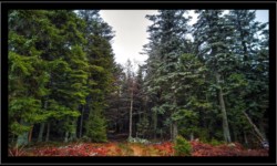 Vers Urstein Vers Urstein