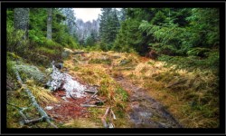 Vers Urstein Vers Urstein