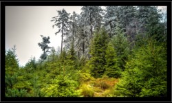 Vers Urstein Vers Urstein