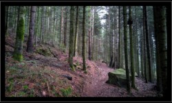 Montée vers le Hengst Montée vers le Hengst