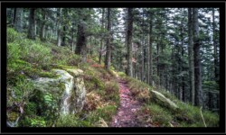 Montée vers le Hengst Montée vers le Hengst