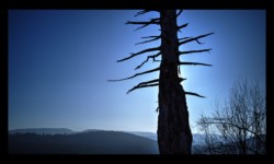 Sommet des Roches de Todlaine Sommet des Roches de Todlaine