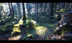 avant le Col de la Charaille avant le Col de la Charaille