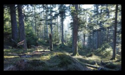 avant le Col de la Charaille avant le Col de la Charaille