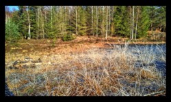 Montée vers les Roches de Todlaine Montée vers les Roches de Todlaine