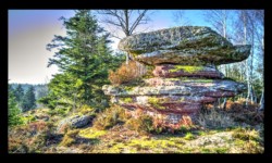 La Roche des Druides La Roche des Druides