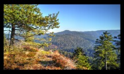 Roche des Druides. Vue vers Saussenrupt Roche des Druides