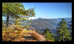 Roche des Druides. Vue vers Saussenrupt Roche des Druides