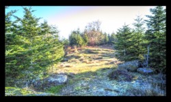 Sommet des Roches de Todlaine Sommet des Roches de Todlaine