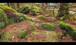 Sur les crêtes de la Boulée Sur les crêtes de la Boulée